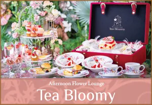 Tea Bloomy